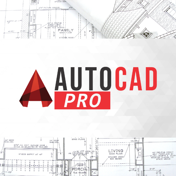 Curso de AutoCAD Pro